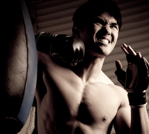 RT-Punch-2040